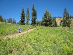 Image for Juniper Lake Labor Day Hiking and Camping Weekend at Lassen Volcanic National Park, 9/5-9/7