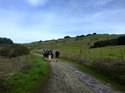 Image for Hike Wildcat Canyon in the East Bay Hills, 3/1