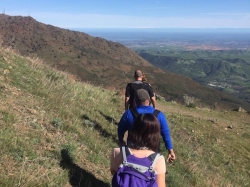 Image for Hike the Mount Diablo Summit Loop in the East Bay, 4/11