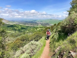 Image for Mt. Diablo Waterfalls and Wildflowers Hike, 5/31