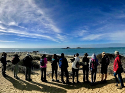 Image for Elephant Seal Guided Tour at Año Nuevo State Park and Tidepooling at Greyhound Rock, 2/23