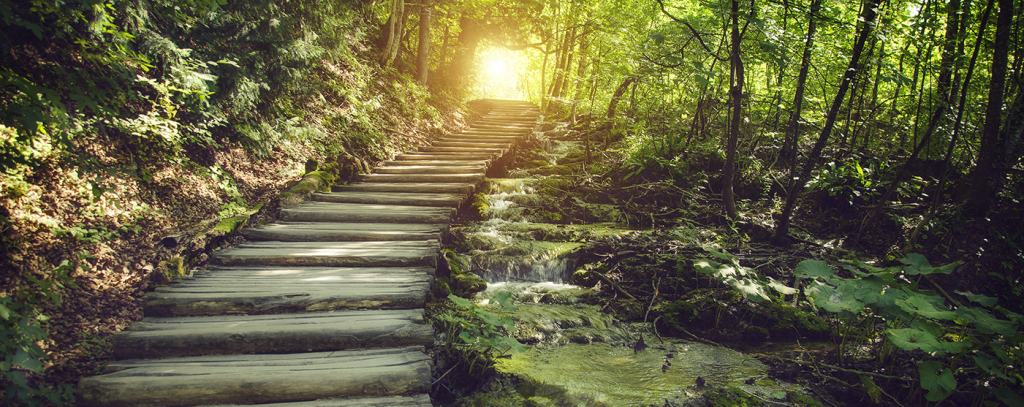 Michael pittilo student essay prize 2013 image