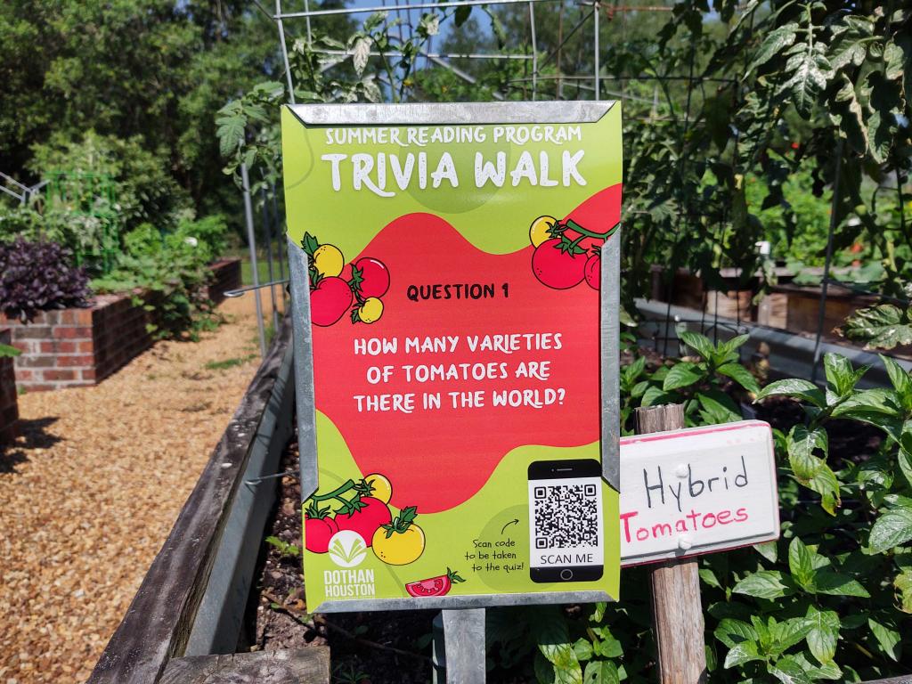 How Many Trivia Questions: Discover the Perfect Number for Fun