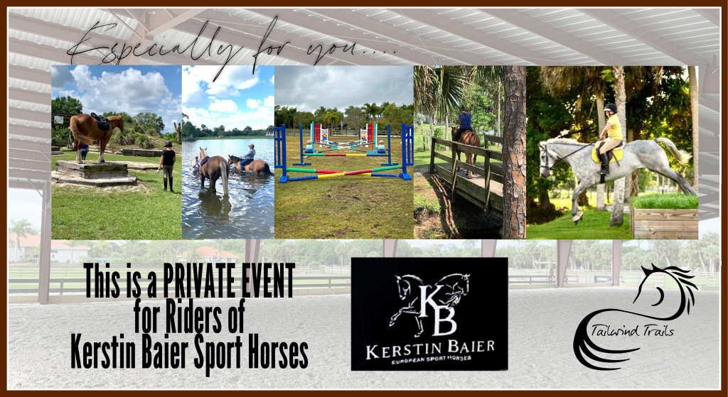Kerstin Baier Sport Horses Tailwinds Trails