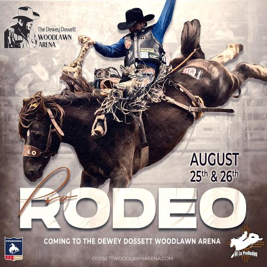 RODEO ロデオ Rodeo Drive 2.0 Hardside Carry-On Spinner Luggage | Ricardo