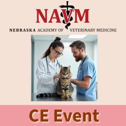 Image for 27 Sep 2026 CE Event: Pain Management