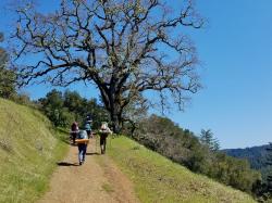 Image for Learn to Backpack Skills Weekend at Black Mountain in Monte Bello Preserve on the Peninsula