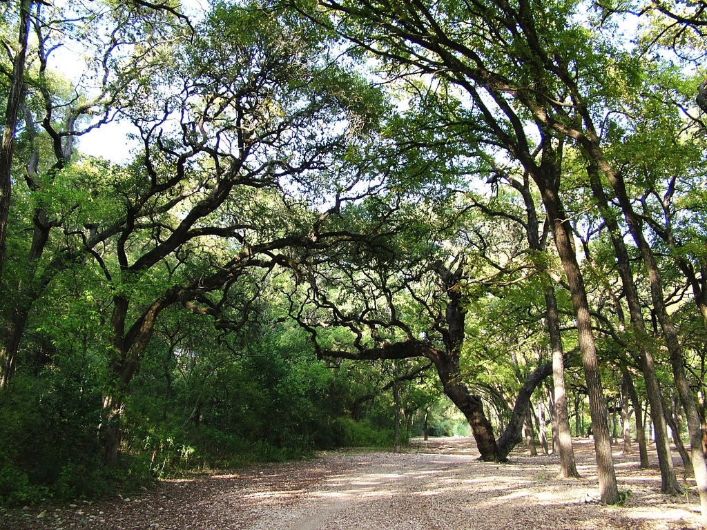 Pease Park End to End Walk Hill Country Outdoors