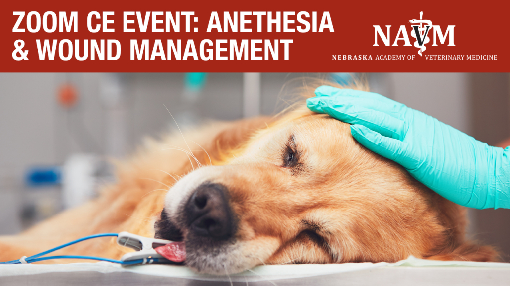 ZOOM CE Event Anesthesia & Wound ManagementNebraska Academy of