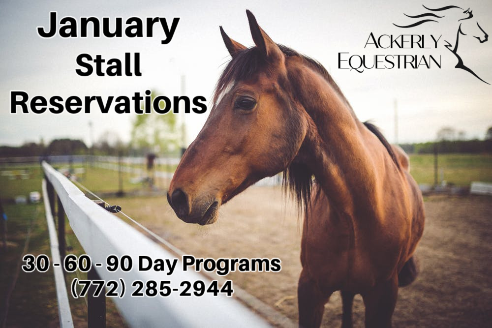 January Board & Train Stall Reservation Tailwinds Trails