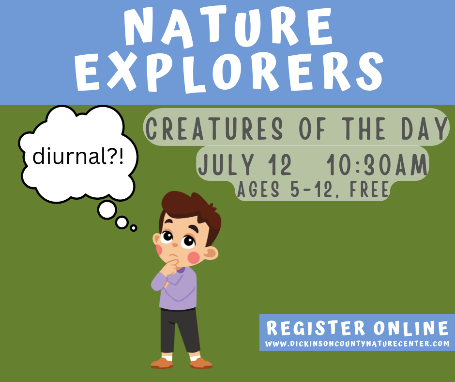 Nature Explorers Creatures of the Day Dickinson County Conservation