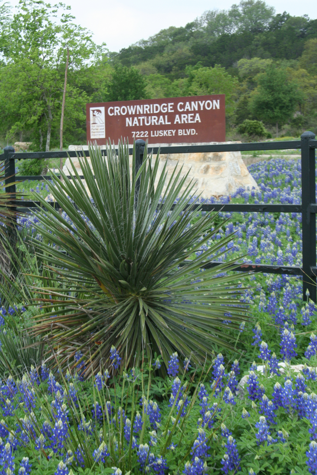Crown Ridge Canyon Park Hike – Hill Country Outdoors