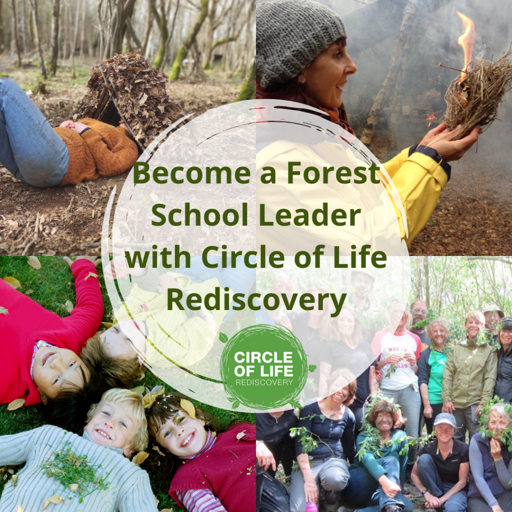 Follow Forest Upcoming FSA Endorsed Training and CPD courses | Forest School Association