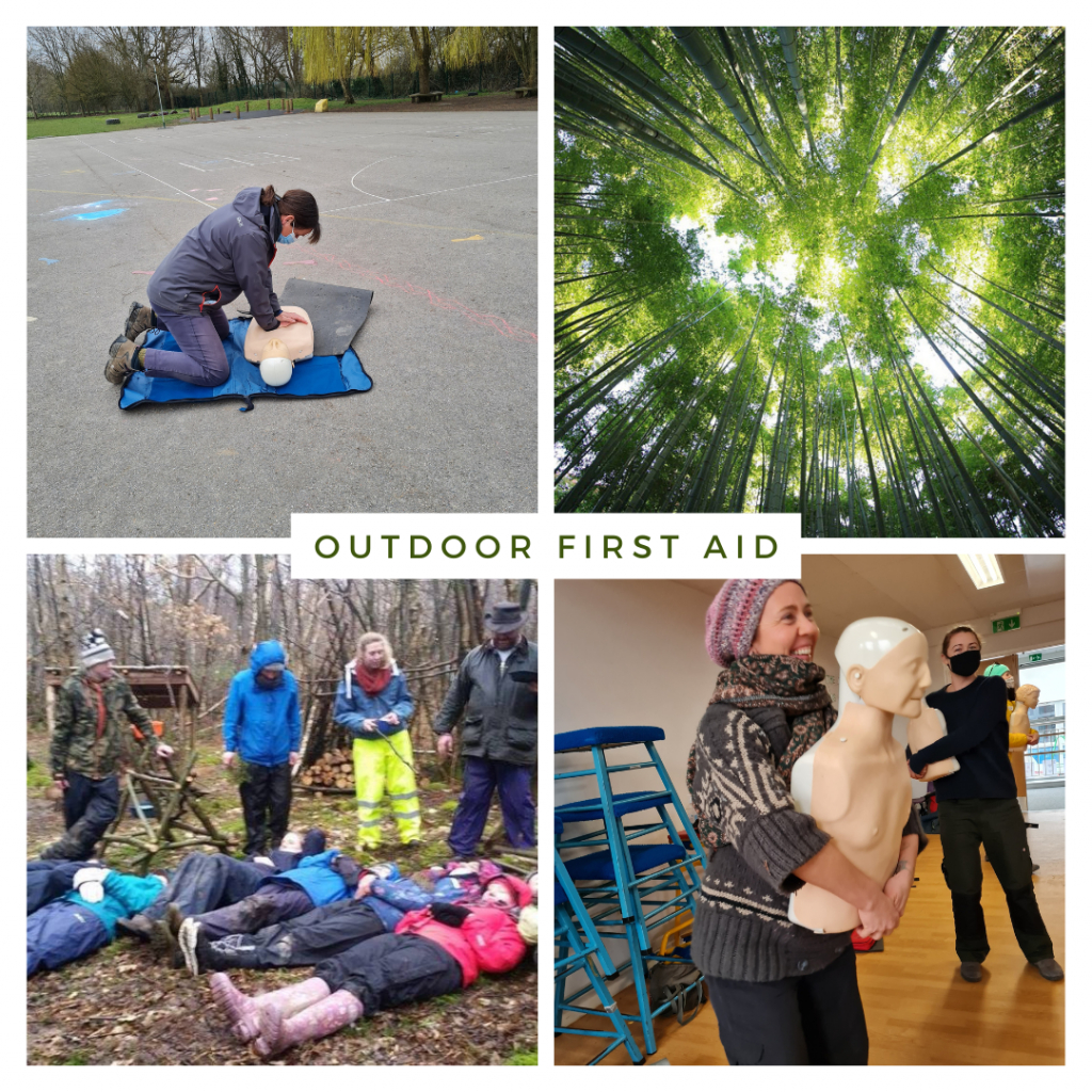 FSA Endorsed Training and CPD courses Forest School Association