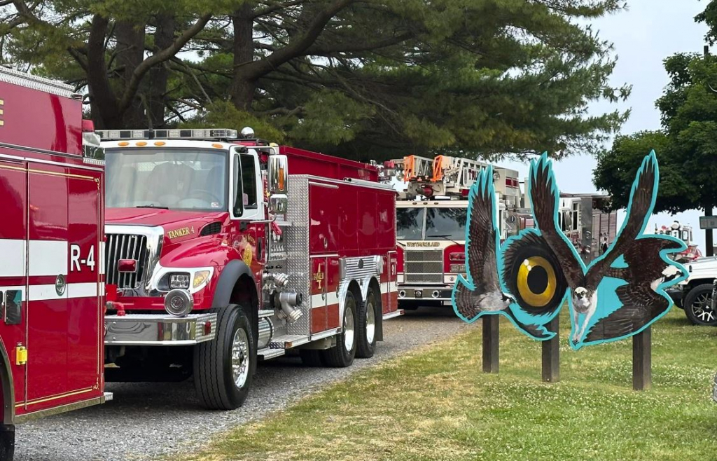 64f4f846d60e936d700d40ea.jpg?1693775942