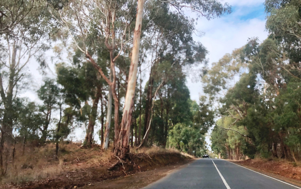 Mazda MX5 Club of Victoria & Tasmania NEV Bright to Yackandandah run