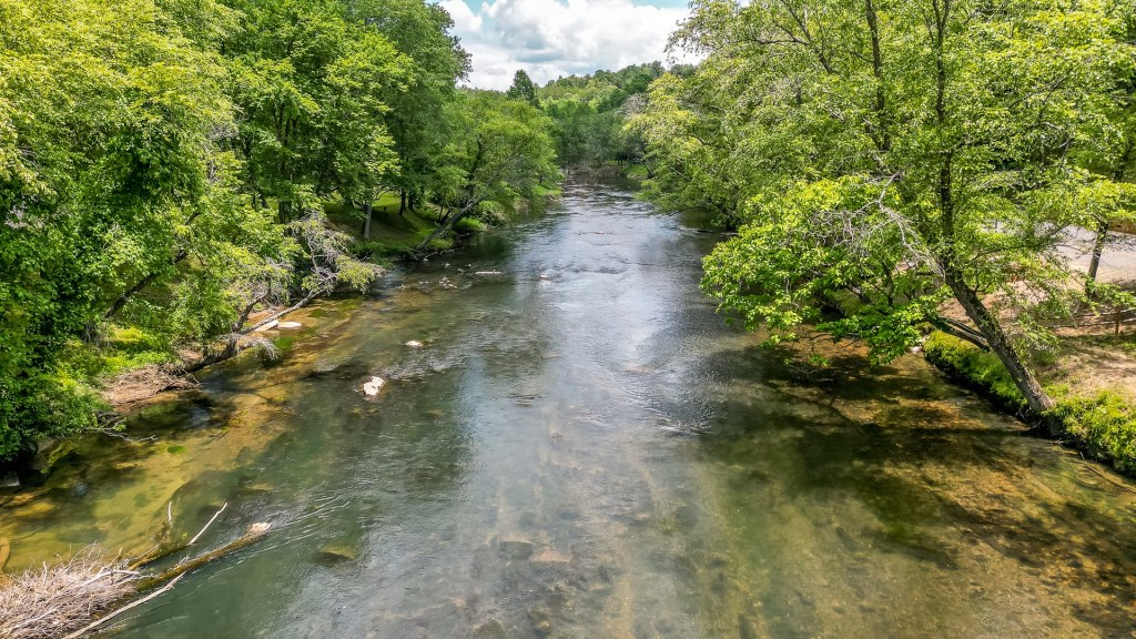 Image for Lower Toccoa River Paddle (Class 1) From Tammen Park (Blue Ridge Dam) To Ron Henry