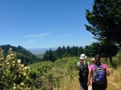 Image for Hike Purisima Creek Redwoods Whittemore Gulch near Half Moon Bay, 9/20
