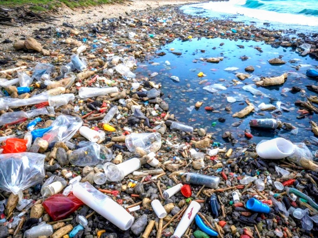 695125c56a0880810708ea26 image