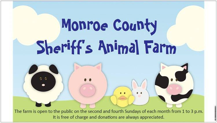 Keysso Image for Animal Farm