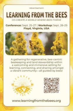 Image for Learning From the Bees